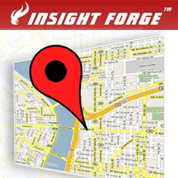 Insight Forge